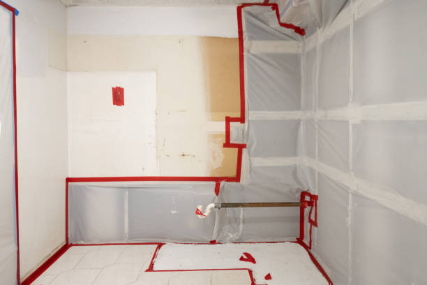 Best Basement Mold Removal  in Verdigris, OK