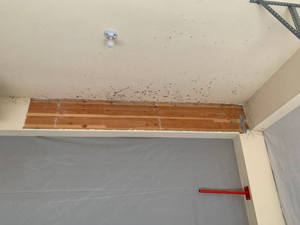 Mold Remediation for Vacation Homes in Verdigris, OK